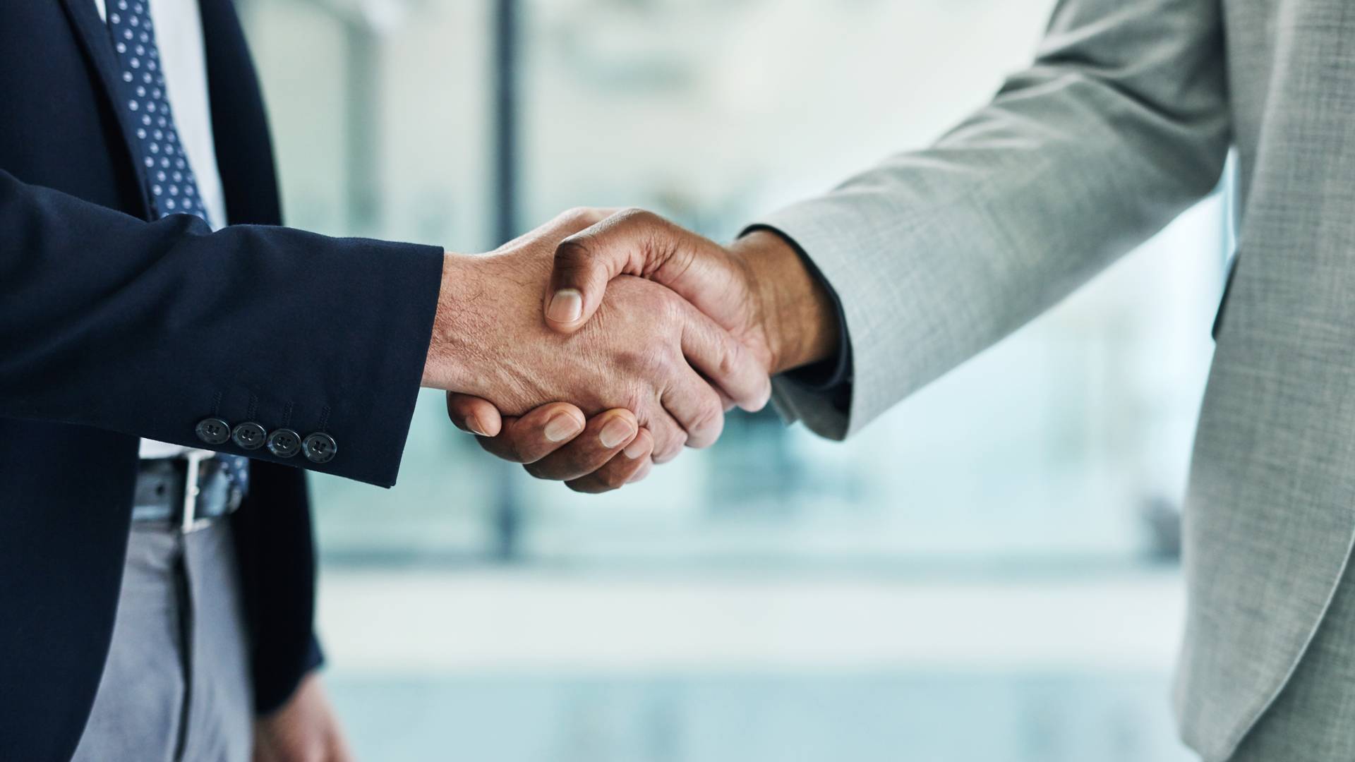 Business Immigration